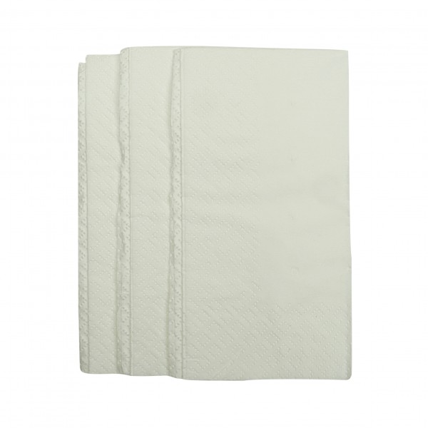 White 2 Ply Paper Luncheon Napkins