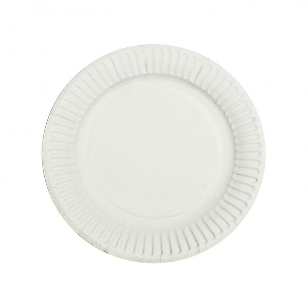 White Paper Plates