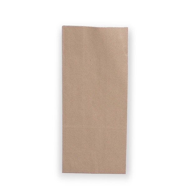 Brown Paper Double Bottle Bags