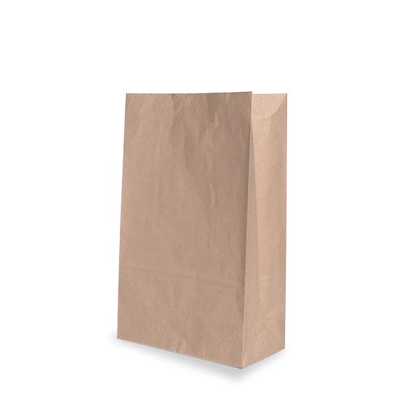 Brown Paper Small Checkout Bags