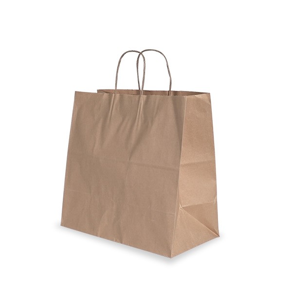 Brown Paper Uber Style Carry Bags