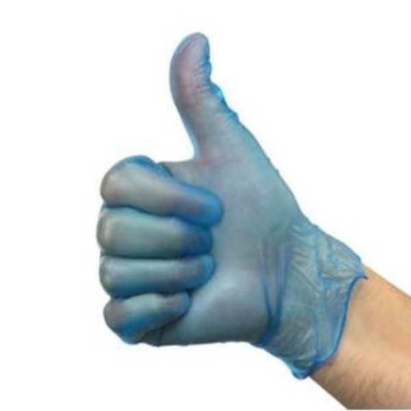 Blue Vinyl Powder-free Gloves