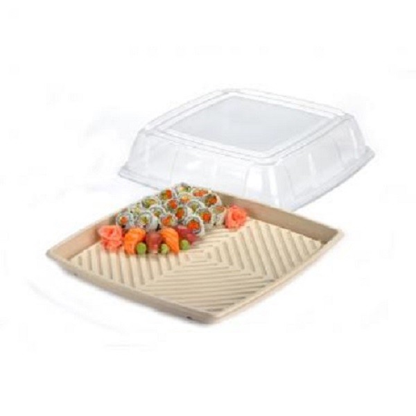 Kraft Plant Fibre and Recyclable Plastic Eco Friendly Platters