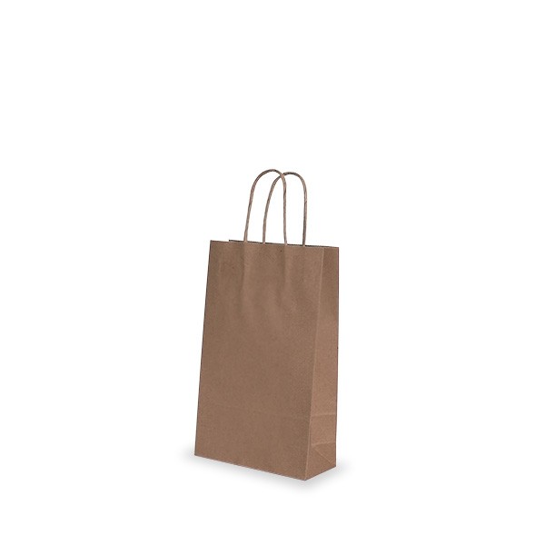 Brown Paper Handle Bags