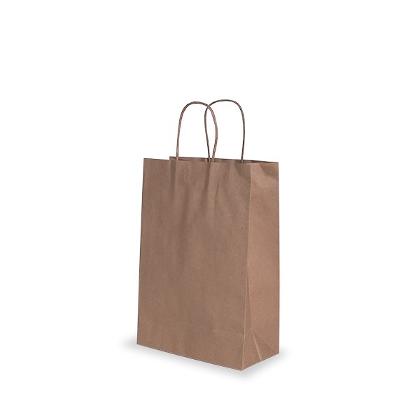 Brown Paper Handle Bags