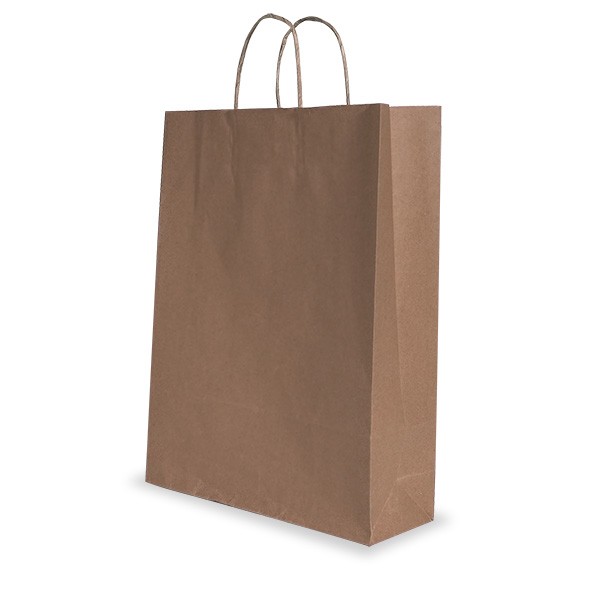 Brown Paper Handle Bags