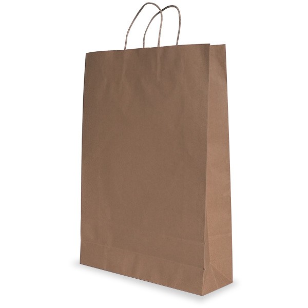 Brown Paper Handle Bags