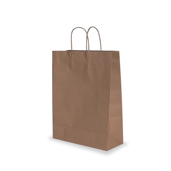 Brown Paper Handle Bags