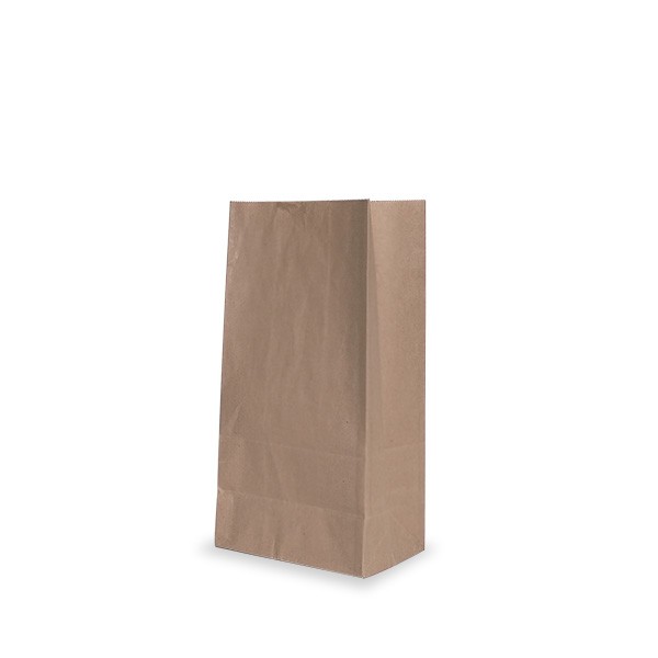 Brown Paper Checkout Bags