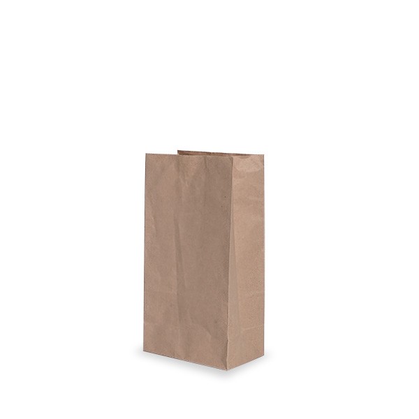 Brown Paper Checkout Bags