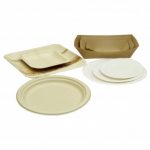 Disposable Plates